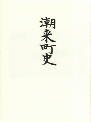 cover image of 潮来町史